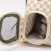5-11.jpeg Capsule Transparent Outdoor Portable Pet Travel Backpack